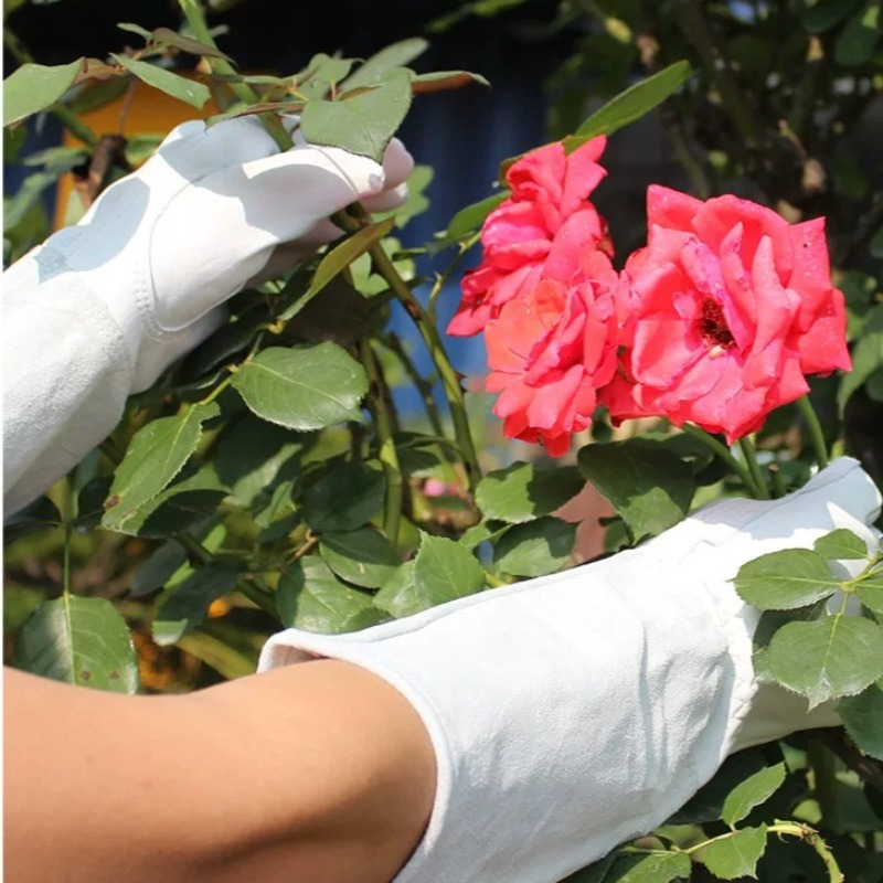 Bir Çift Bahçe Eldiveni, Diken - Gardening Glove Waterproof incelemesi ve fiyatı